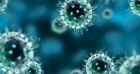 Alzheimerovu bolest uzrokuje virus herpesa?