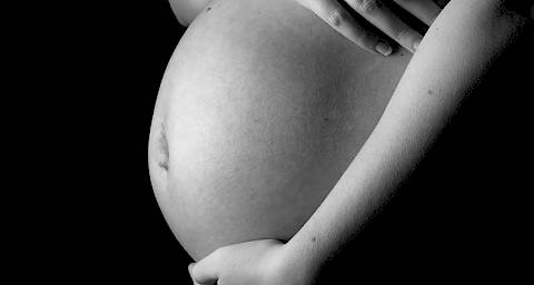 Kako vaša beba raste – 24. tjedan