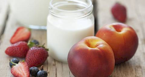Probiotici i prebiotici: u čemu je razlika?