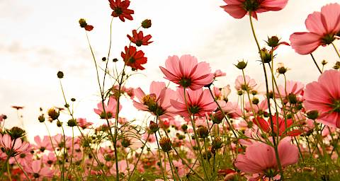 Tjedni horoskop od 24. do 31. 10. 2016.