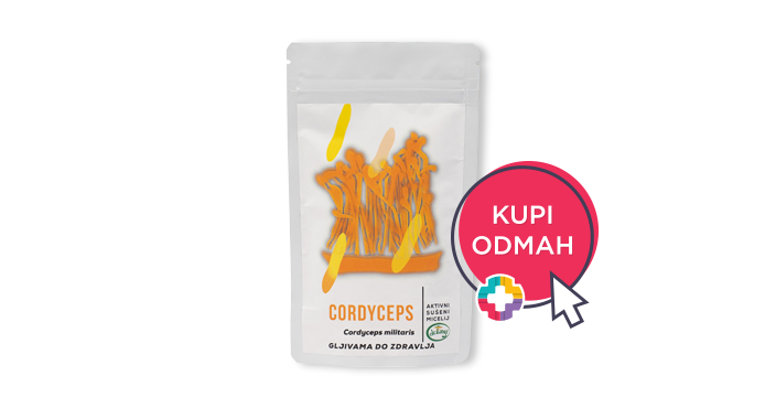 CORDYCEPS GLJIVA U PRAHU