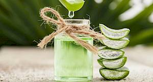 Aloe vera sok – prirodna pomoć za zdravstvene tegobe