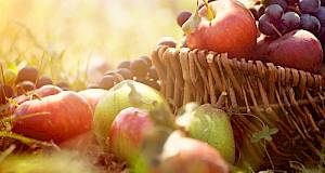 Jesensko voće i povrće koje obiluje hranjivim tvarima