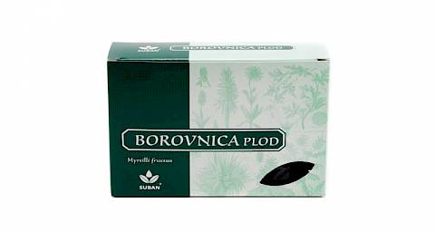 Borovnica plod