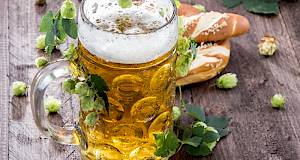 Konzumacija piva i rizik za zdravlje