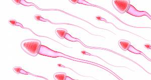 Kretanje spermija pod strogom kontrolom