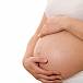 Prenatalni razvoj 3. tromjesečje