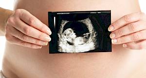 Što sve otkriva ultrazvuk u trudnoći?
