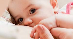 Mitovi i činjenice o dojenju
