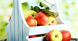 Jabuka pomaže u prevenciji gubitka mišićnog tkiva