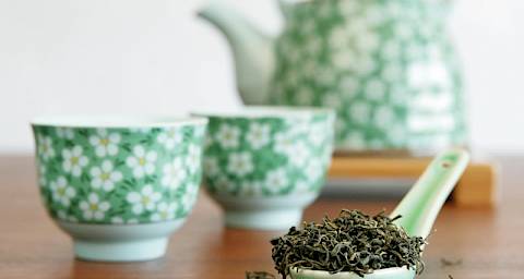 Matcha čaj je zdraviji od zelenog čaja