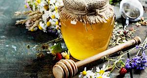 Što nismo znali o medu?