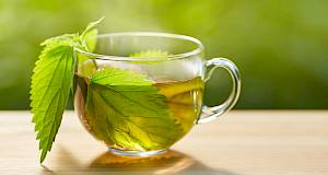 20 prednosti čaja od koprive