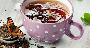 Čaj od maslačka i đumbira (prehrana za krvnu grupu A)