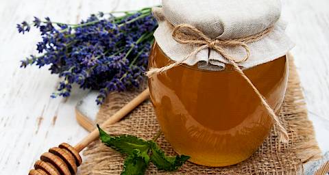 Manuka med jača imunitet, poboljšava kvalitetu sna i uklanja nadutost!