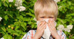 Vrijeme je proljetnih alergija – gdje se sve krije pelud?