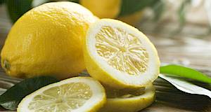 Limun sadrži 22 antikancerogena spoja!