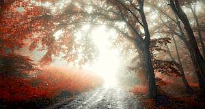 Tjedni horoskop od 12. do 19. 9. 2016.