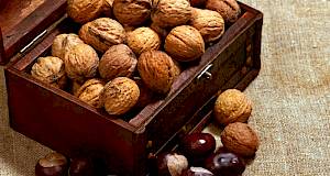 Orasi su najzdraviji orašasti plod