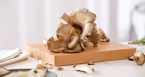 Otkrivamo 5 zdravstvenih prednosti gljiva!