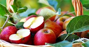 Jabukom do zdravlja