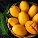 Evo zašto je mango idealan za mršavljenje!