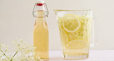 Napravite čaj i sirup od bazge na 2 načina!
