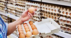 VIDEO: Evo kako ćete prepoznati jaja zaražena salmonelom