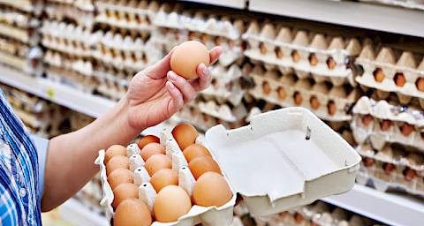 VIDEO: Evo kako ćete prepoznati jaja zaražena salmonelom