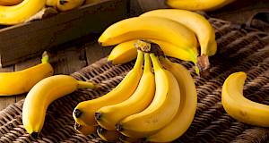 Banana dijeta topi kilograme u prvih 7 dana!