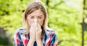 Peludni kalendar: biljke koje uzrokuju alergije u travnju
