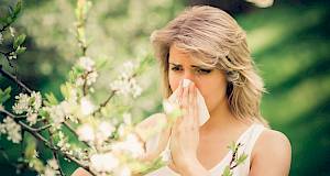 Loša vijest za alergičare: opasno razdoblje bit će sve dulje