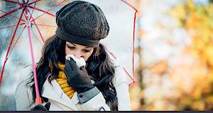 Mitovi o prehladi pod povećalom