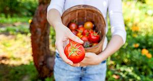 5 iznenađujućih učinaka jedenja rajčice