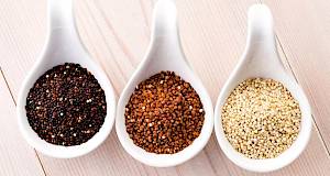 Kvinoja: zdravstvene prednosti, priprema i recepti