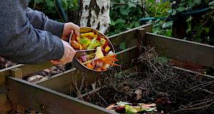 Sve o kompostiranju: kako kompostirati, što se smije, a što ne smije kompostirati