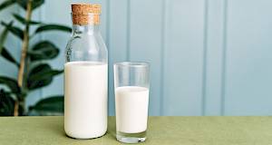 Je li mlijeko uopće zdravo? Ovih 6 stvari morate znati