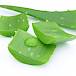Aloe vera za ljepšu kožu