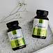 Moringa – čudesna biljka svestrane zdravstvene primjene