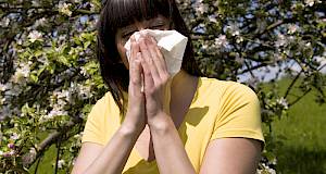 Inhalacijske alergije - sezonski, ali i cjelogodišnji problem