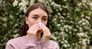 Peludni kalendar i prognoza: Kako planirati aktivnosti na otvorenom ako vas muče alergije?