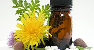 Dobro je znati: Homeopatija za početnike