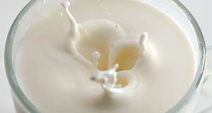 Je li mlijeko zaista dobro za organizam?