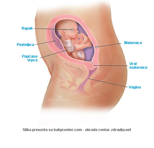 Slike trudnoći sex u poze Zene za