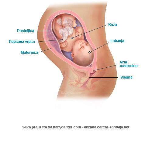 trudnoca-po-tjednima-33.jpg