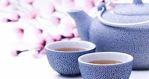 Ljekovitost biljnog čaja